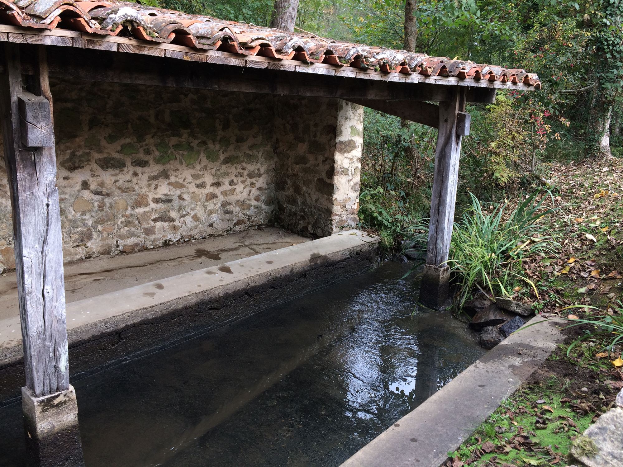 image from Bienvenue sur le nouveau site